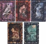 5x Zeszyt A5 60 kartek w linię FAIRYTALE (400182441SET5CZ)