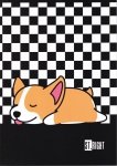 Zeszyt A4 w kratkę 32 kartki ST.RIGHT piesek, SLEEPY CORGI (69989)