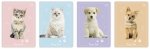 4x Zeszyt A5 w kratkę 16 kartek Puppy Sign mix (26921SET4)