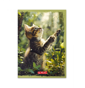 Zeszyt A5 w kratkę 32 kartki ANIMALS mix (83069)