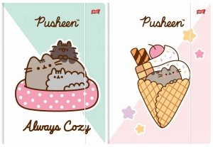 2x Teczka rysunkowa A4 z gumką PUSHEEN Kot Kotek (63314SET2CZ)