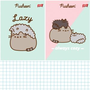 2 x ZESZYT PUSHEEN A4 W KRATKĘ 32 KARTKI (75249ZESTAW)