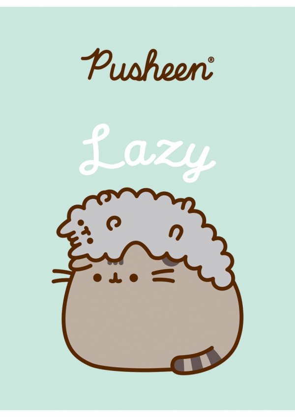 2 x ZESZYT PUSHEEN A4 W KRATKĘ 32 KARTKI (75249ZESTAW)