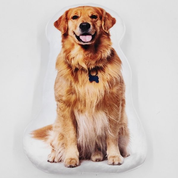 Poduszka kształtowa PIESEK GOLDEN RETRIEVER kształtka (KSZ241034)