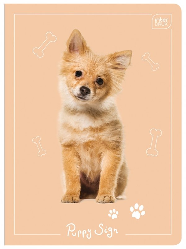 4x Zeszyt A5 w kratkę 16 kartek Puppy Sign mix (26921SET4)