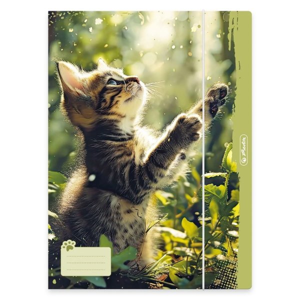 Teczka rysunkowa A4 z gumką ANIMALS KOTEK Herlitz (80501)