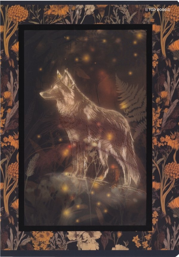 Zeszyt A5 32 kartki w kratkę FAIRYTALE mix (400181617)