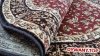 STANDARD HERMIONA terakota owal 100x180