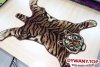 WELPRO TIGER BEŻ 120x150