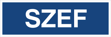 Znak SZEF 801-71 Folia Zwykła 100x300 B