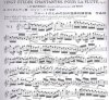 Gariboldi, Guiseppe: 20 études chantantes op. 88 na flet