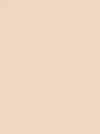 Stringi Gatta 41589 Ultra Comfort S-L