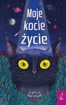 Moje kocie życie