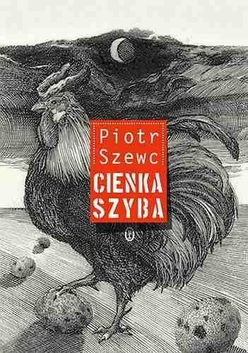 Cienka szyba, Piotr Szewc, Wydawnictwo Literackie