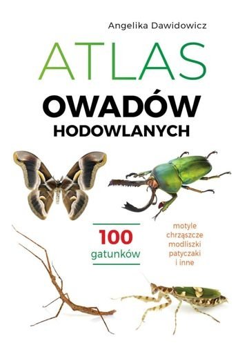 Atlas owadów hodowlanych. 100 gatunków, Angelika Dawidowicz