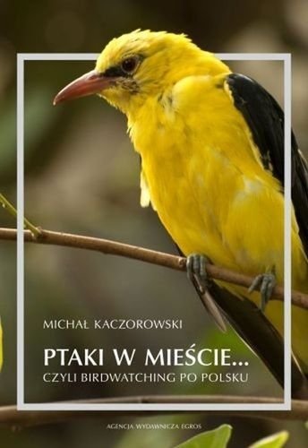 Ptaki w mieście… czyli birdwatching po polsku, Michał Kaczorowski