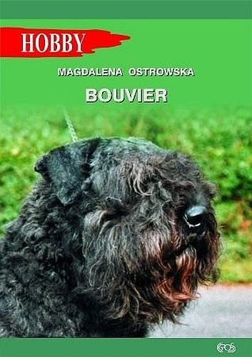 Bouvier. Hobby, Magdalena Ostrowska