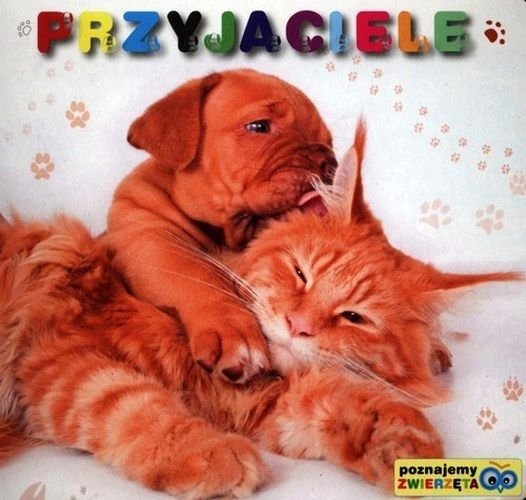 Przyjaciele. Poznajemy zwierzęta.