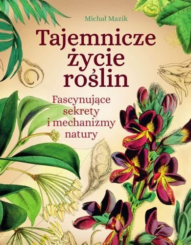 Tajemnicze życie roślin. Fascynujące sekrety i mechanizmy natury, Michał Mazik