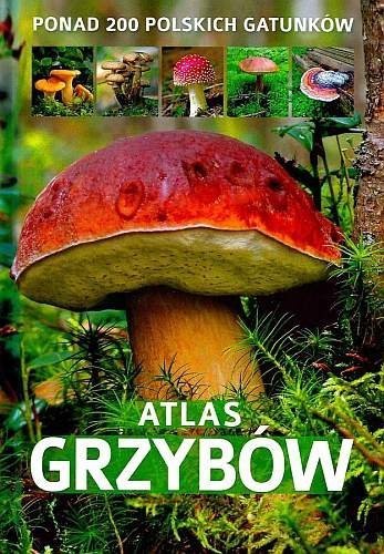 Atlas grzybów. Ponad 200 polskich gatunków, Patrycja Zarawska
