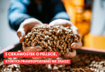 5 ciekawostek o pellecie, których prawdopodobnie nie znasz!