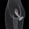KOREK ANALNY FLAWLESS CLEAR PROSTATE PLUG 6.0''