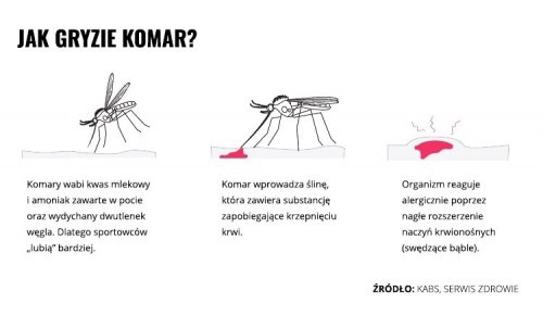 Mleczko repelent Mugga 50% DEET 50 ml