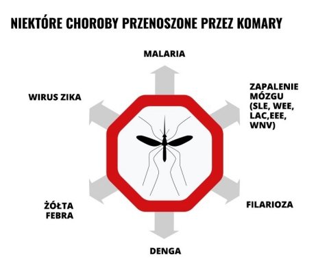 Mleczko repelent Mugga 20,5% DEET 50 ml