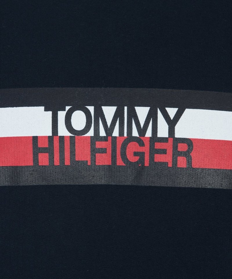 Tommy Hilfiger bluza męska 