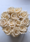 Ecru,WIECZNE żywe róże w średnim velvet białym boxie