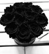 Czarne żywe WIECZNE róże w średnim czarnym boxie