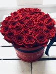 Czerwone żywe róże w dużym czerwonym boxie