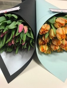 Tulipany w tubie