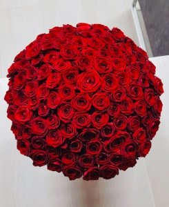 101 Czerwonych żywych róż w dużym boxie