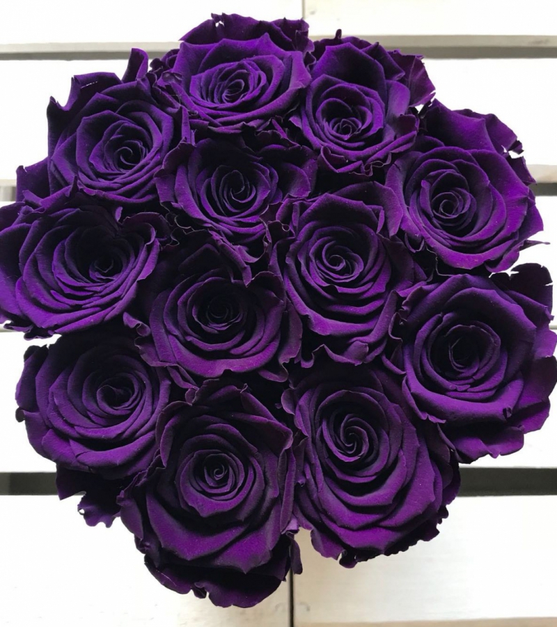 Fioletowe żywe WIECZNE róże w średnim czarnym boxie