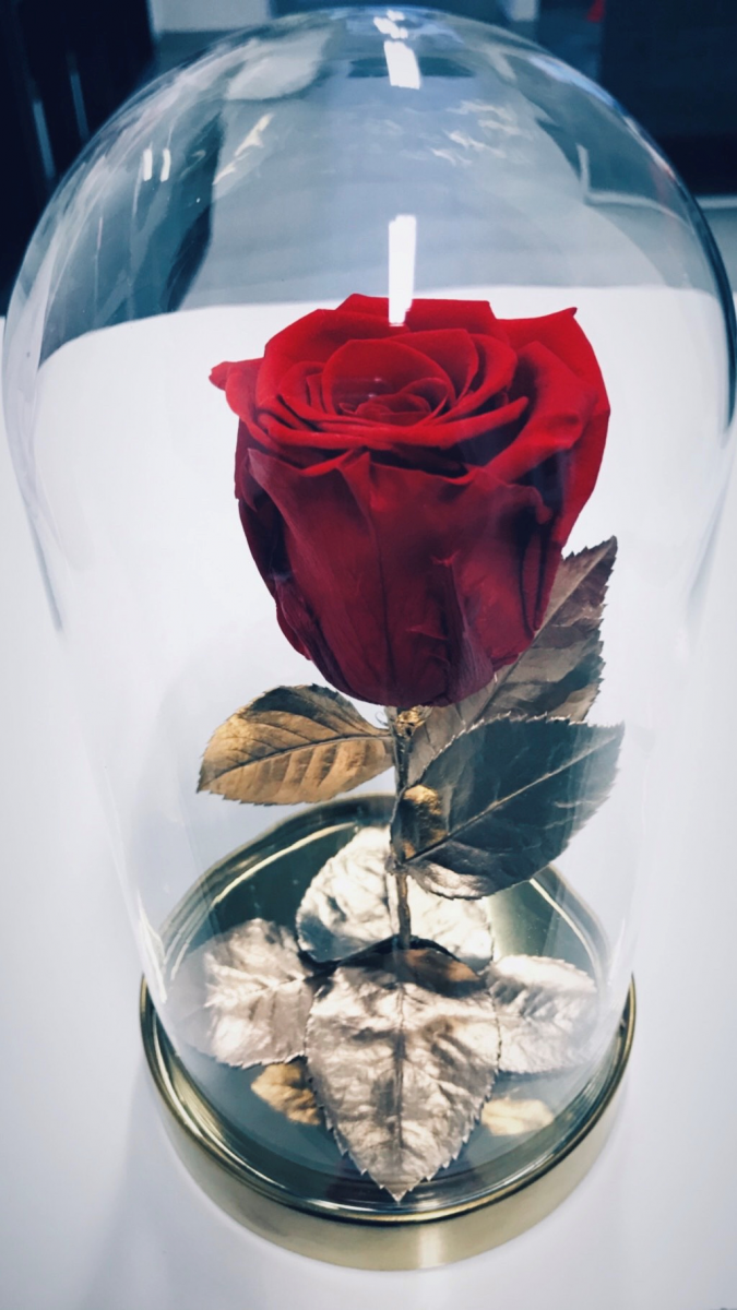 Wieczna żywa róża w szkatułce