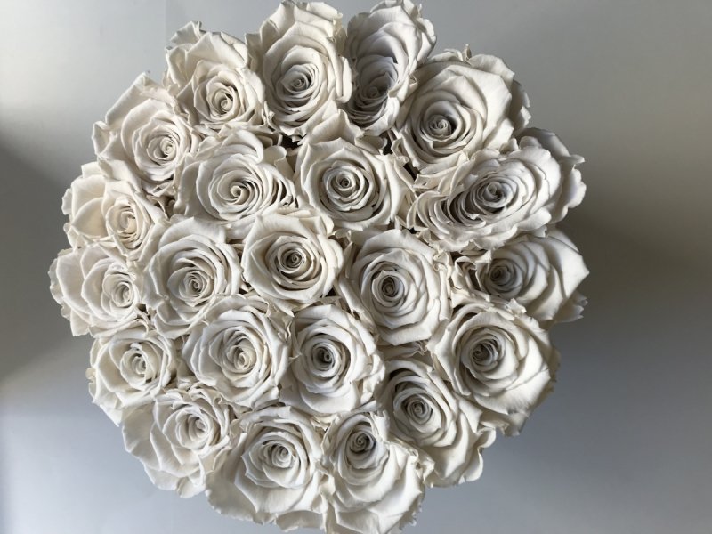 Kremowe żywe WIECZNE róże w dużym białym boxie
