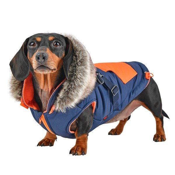 Luksusowa, zimowa kurtka dla psa z kapturem od Puppia