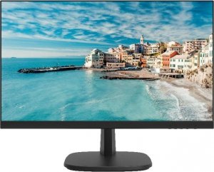 Monitor 23.8 DS-D5024FN/EU