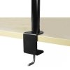 ARCTIC Z2 Basic uchwyt / stojak do monitorów 68,6 cm (27) Biurko Czarny