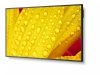 NEC Monitor wielkoformatowy 50 cali MultiSync ME501 UHD 400cd/m2 18/7
