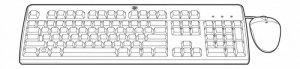 Hewlett Packard Enterprise Zestaw USB RU Keyboard/Mouse Kit 638214-B21