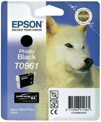 Epson Atrament/T096 Photo Black f R2880