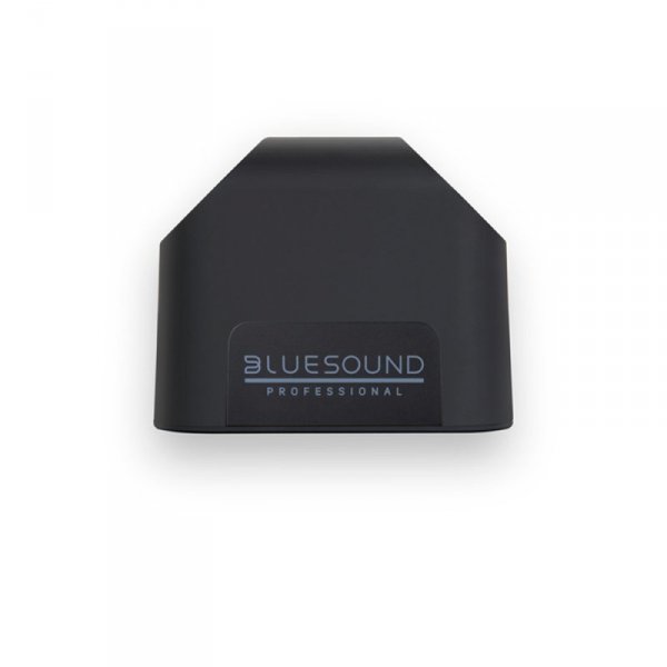Bluesound Professional Bezprzewodowy głośnik sieciowy BSP125B ze zintegrowanym źródłem audio, czarny