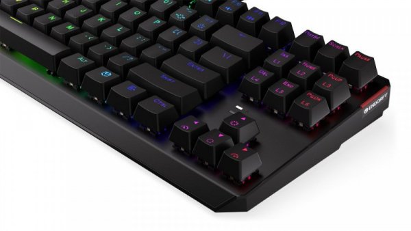 Endorfy Klawiatura gamingowa - Thock TKL Kailh BR RGB
