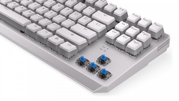 Endorfy Klawiatura gamingowa - Thock TKL OWH P. Kailh BL RGB