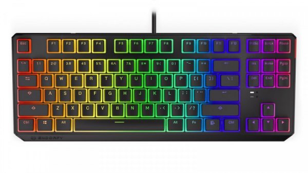 Endorfy Klawiatura gamingowa - Thock TKL Pud Kailh RD RGB