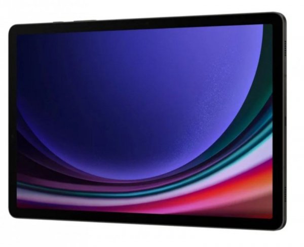 Samsung Tablet Galaxy Tab S9 X710 Wifi 11 cali 12/256 GB Szary