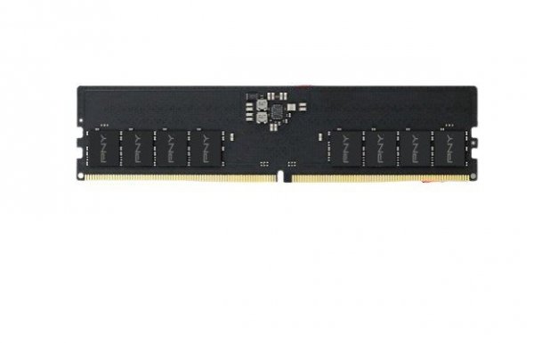 PNY Pamięć DDR5 16GB 5600MHz 44800 BULK