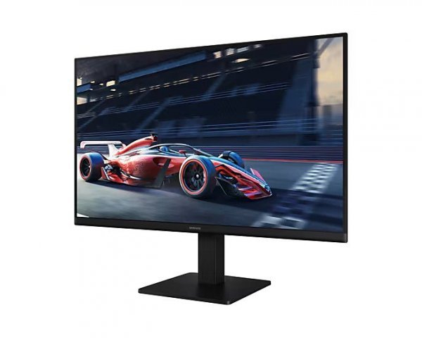 Samsung Monitor 24 cale LS24D300GAUXEN FHD 1xHDMI 1xD-Sub 100Hz